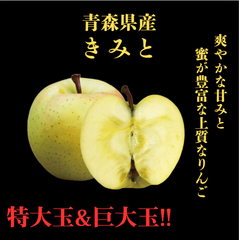 ★期間限定★青森県産 きみと 激レア りんご 特大玉＆巨大玉 家庭用 6~8玉 ⑨