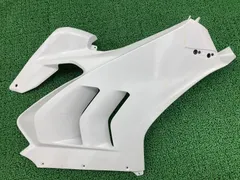 2026年最新】パニガーレ カウルの人気アイテム - メルカリ