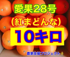 愛果28号　10キロ  マドンナ