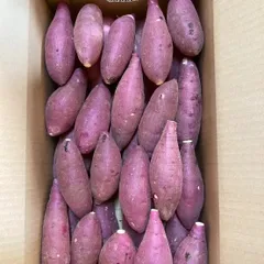 ⭐︎R 7年産　熊本大津産　「紅はるかエースくん」5キロのサムネイル