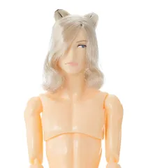 ★新品★ペットワークス 六分の一男子図鑑 ナイン B2512