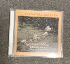 MTG【Foil】白鳥の歌/Swan Song(EN)1枚 - メルカリ