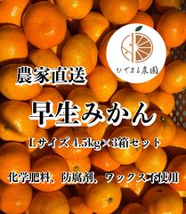 早生みかん　Lサイズ　4.5kg×3箱セット