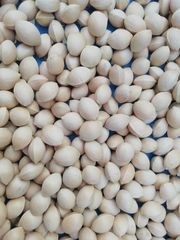 山里の銀杏700ig(井戸水で洗浄、天日干し)