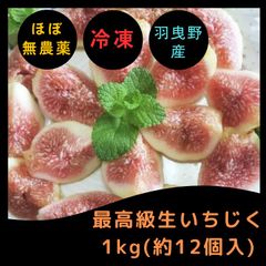 冷凍完熟いちじく(真空パック加工) 1kg  加工用 ジャム イチジク