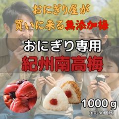 産地直送　紀州南高梅 1kg 梅 無添加 和歌山 紀州 白梅 