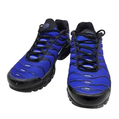 【中古品】NIKE ナイキ AIR MAX PLUS PRM FQ7331-001 エア マックス プラス PRM スニーカー シューズ 靴 【160-250609-as-22-izu】