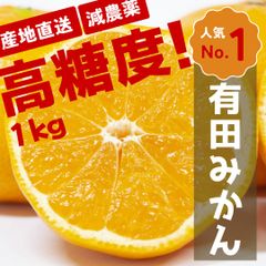 【減農薬】甘くて濃い！有田みかん 訳あり 家庭用 1kg