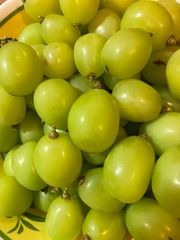 長野県産　果物の王国セットミニ　訳ありシャインマスカット粒1kg＋家庭用サンふじ12玉入り