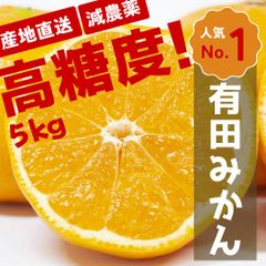 【減農薬】甘くて濃い！有田みかん 訳あり 家庭用 5kg