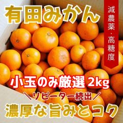 小玉・小粒厳選【減農薬】甘くて濃い！有田みかん 訳あり 家庭用 2kg