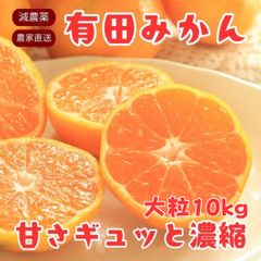 有田みかん 大粒【超お得】甘い！減農薬 和歌山 みかん 訳あり 家庭用 10kg