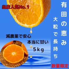 有田みかん 大粒【超お得】甘い！減農薬 和歌山 みかん 訳あり 家庭用 5kg