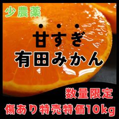 有田みかん！早い者勝ち！ 和歌山 減農薬 10kg  セール！ 大容量