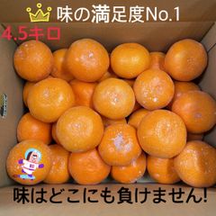 蜜柑王みかん　ＬLサイズ 4.5キロ　とっても美味しいみかんです！12月10日〜26日以降順次発送！　【訳あり】送料込み