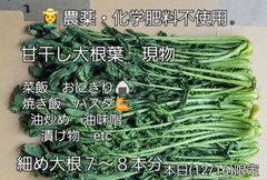 本日発送(12/16) 農薬・化学肥料不使用　露地栽培　細め大根の葉っぱ７～８本分　ネコポスで発送