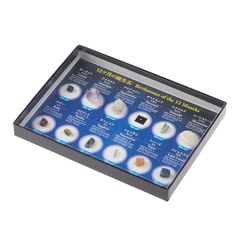 【新品】 大江理工社(Oherikosha) ブック型標本セット 誕生石宝石セット 0