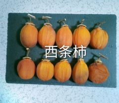 177  干し柿　西条柿　やわらか　10個