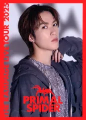 【中古】コレクションカード(男性) THE RAMPAGE from EXILE TRIBE/藤原樹/「THE RAMPAGE LIVE TOUR 2025 ”PRIMAL SPIDER”」フォトカード