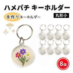 ハメパチキーホルダー 小さな 丸型 8個 押し花 アクリルキーホルダー フォトキーホルダー オリジナルキット