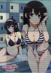 [중고] 클리어 파일 카토 메구미 & 카스미가오카 시바(수영복) A4 클리어 파일 [그렇지 않은 그녀의 기르는 방법]