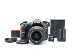 2025年最新】α65 レンズの人気アイテム - メルカリ