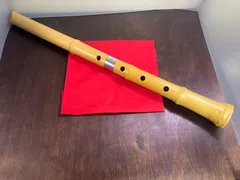 2025年最新】尺八 樹脂の人気アイテム - メルカリ