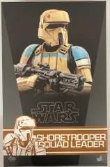 HOTTOYS MOVIE MASTERPIECE SHORETROOPER / SQUAD LEADER MMS592