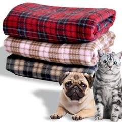 Item thumbnail for item 17ee13ea-32bd-4645-9066-33fc0ccce249