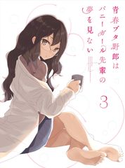 청춘 돼지 놈은 토끼 소녀 선배의 꿈을 꾸지 않는다 3 (완전 생산 한정판) [DVD] (중고품)
