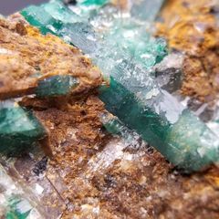 宝石質 ラベル付き】ダイオプテーズ 翠銅鉱 カザフスタン産 鉱物標本