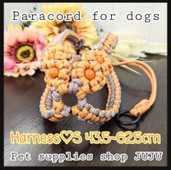 Item thumbnail for item 919d8013-a564-4b1b-8440-d98e39f26849