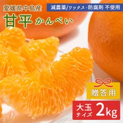 【贈答用】中島産 みかん 甘平 2kg 中島甘平 かんぺい 特選品 大玉サイズ 減農薬 産地直送 島みかん 瀬戸内海 愛媛県 希望の島産 ノーワックス 防腐剤不使用 宅急便のサムネイル
