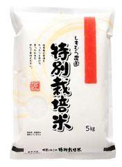 SAGA BIYORI さがびより5kg×2袋 米 - メルカリ
