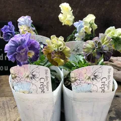 2025年最新】フェデネージュの人気アイテム - メルカリ