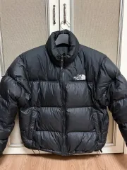 THE NORTH FACE 1996 レトロ ヌプシ L