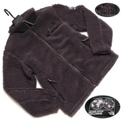 新品正規 ノースフェイス 海外限定 ECOフリース SAVE THE EARTH ボアフリース/ジャケット メンズLダークグレー(DGY)