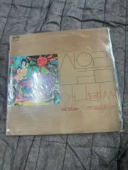 マウンテンユーリム 新 曲 まとめ売り ー 花火/ドア ちょっとね 開けて 初版 LP 出品