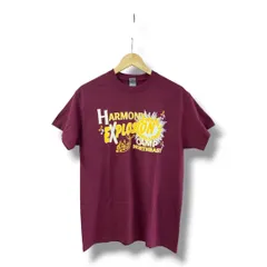 HARMONY EXPLOSION CAMP NORTHEAST GILDAN ギルダン Tシャツ 紫 パープル  Plus-No.71