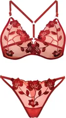 Gorcre 花柄 透ける セクシーランジェリー 上下セット レディース サイズ調整 メッシュ シースルー 刺繍 三角ブラジャー Tバック (ワイン)