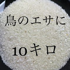 鳥餌 小動物 砕米 10kg - メルカリ