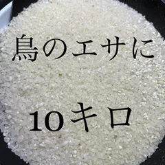 鳥餌　小動物　砕米　10kgのサムネイル