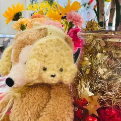 ✨新品✨耳当て　手編み　きみいろ　イヤーマフトイプードル🐩わんちゃん🐩犬🐩イヤーマフ　耳当て　編み物