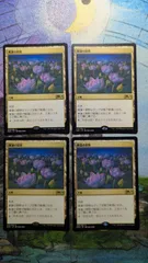 2026年最新】睡蓮の原野の人気アイテム - メルカリ