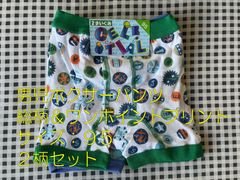 Item thumbnail for item f892a171-41f4-405f-b39f-37ca3f13a573