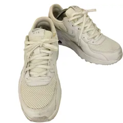 ナイキ NIKE ウィメンズ エア マックス エクシー レディース  25cm