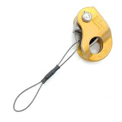 Item thumbnail for item 50e0169d-716d-4085-8f6a-c9391910f22c