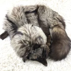 シルバーフォックス 顔付 ショール リアルファー 本毛皮 マフラー ストール ティペット 襟巻 パーティー フォーマル