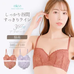 新品★未使用 B85 ~ B95 ブラセット B85-F100 大きいサイズ  脇高 (J-2192-ef)[メール便不可]【ブラジャー ショーツ アンダー100 下着 レディース Fカップ グラマー 上下セット】