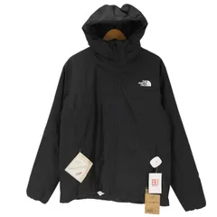 ザノースフェイス THE NORTH FACE 25AW GTX AXION INSULATED JACKET アクションインサレーテッドジャケット WINDSTOPPER 中綿ジャケット ロゴ メンズ import：L 